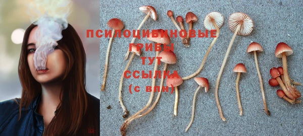 гашиш Володарск