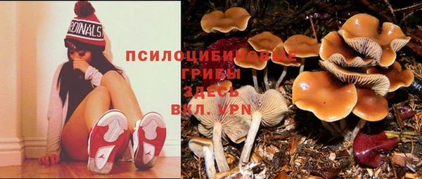 MDMA Premium VHQ Семилуки